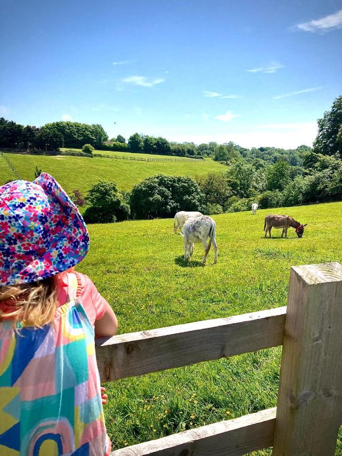 Fletchers Cottage Honiton Luaran gambar